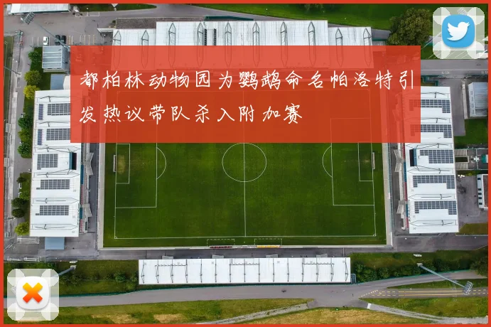 都柏林动物园为鹦鹉命名帕洛特引发热议带队杀入附加赛