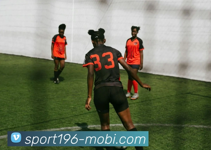 196体育服务体系